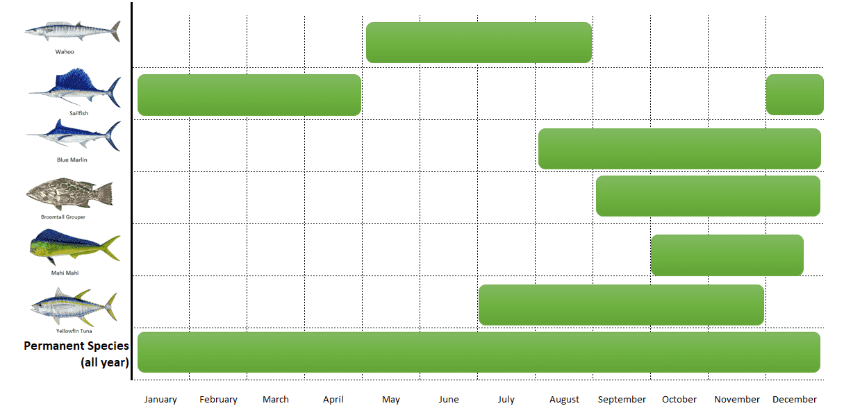 Fishing seasons chart for species in Sierpe, Costa Rica, showing peak months for wahoo, mahi mahi, tuna, marlin, sailfish, snapper, roosterfish, and other species.