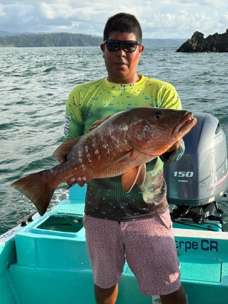 snapper fishing sierpe costa rica